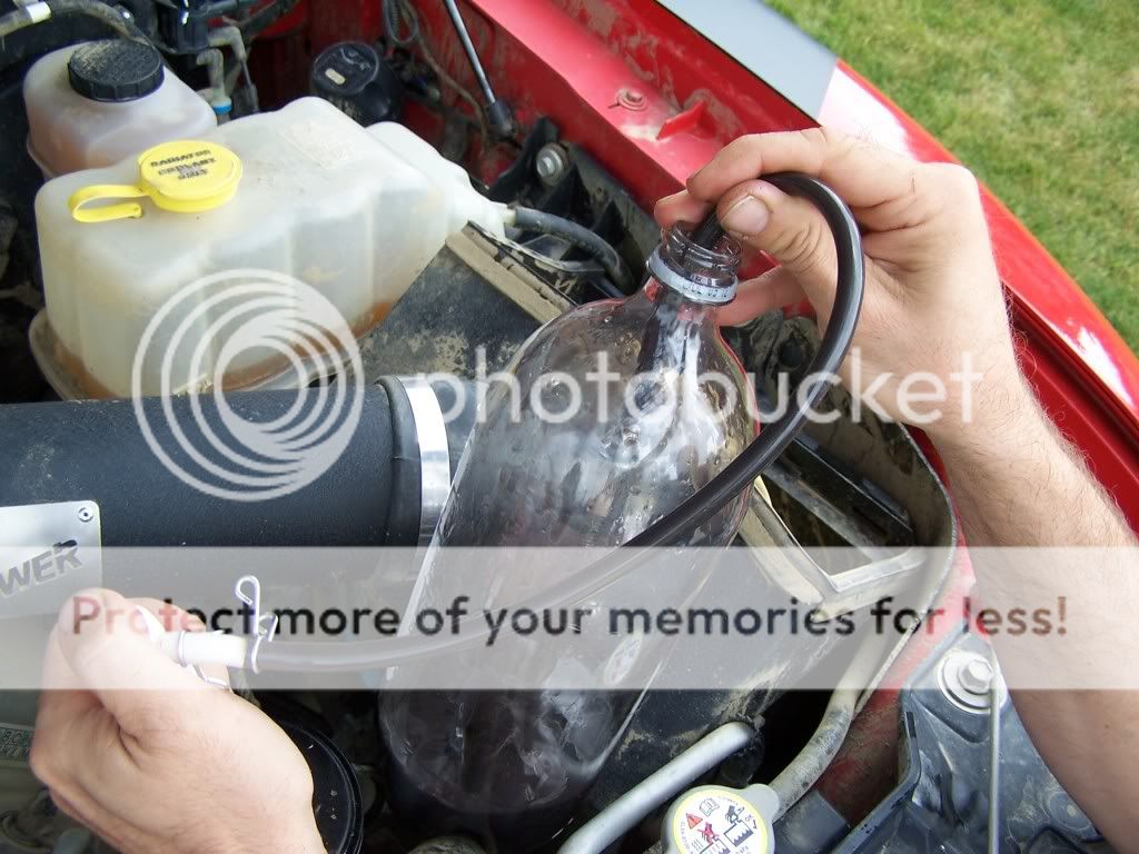 Black power steering fluid? F150 Raptor Forums